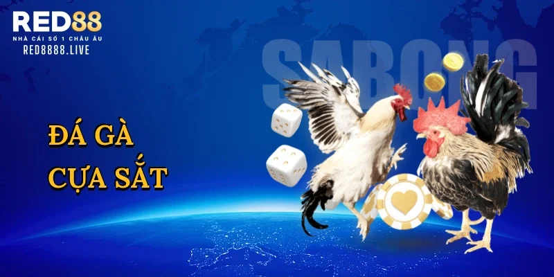 Đá gà cựa sắt