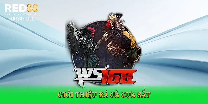 Giới thiệu Đá gà cựa sắt