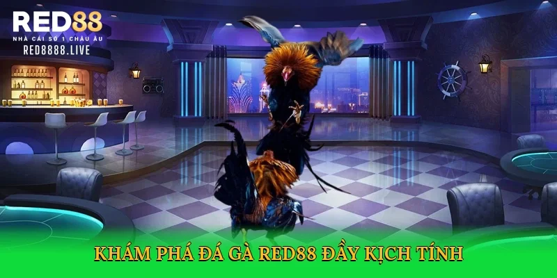 Khám phá đá gà Red88 đầy kịch tính